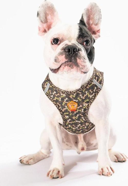 BrowNossa Air-mesh Göğüs Tasması Kedi Köpek Göğüs Tasması 3XSmall