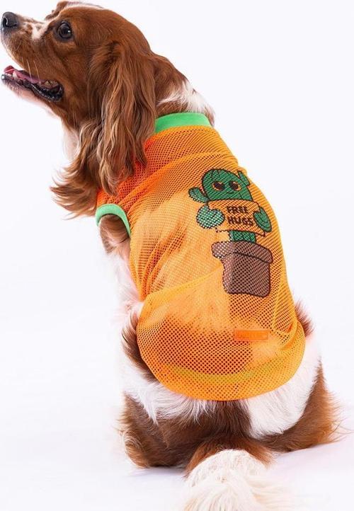 Cactus Mesh Kedi Köpek Tişörtü - Kedi Köpek Kıyafeti XLarge