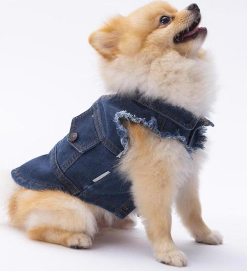 Koyu Mavi Denim Yelek Kot Yelek Köpek Kıyafeti Köpek Yeleği XL