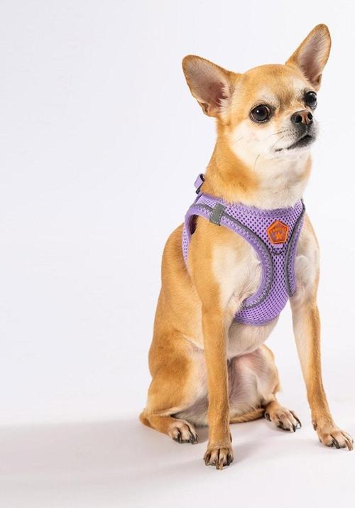 Lila Air-mesh Göğüs Tasması Kedi Köpek Göğüs Tasması 2XSmall