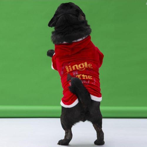 New Year Slogan Küçük ve Orta Irk Köpek Kapşonlu Sweati Köpek Kıyafeti - 2XL