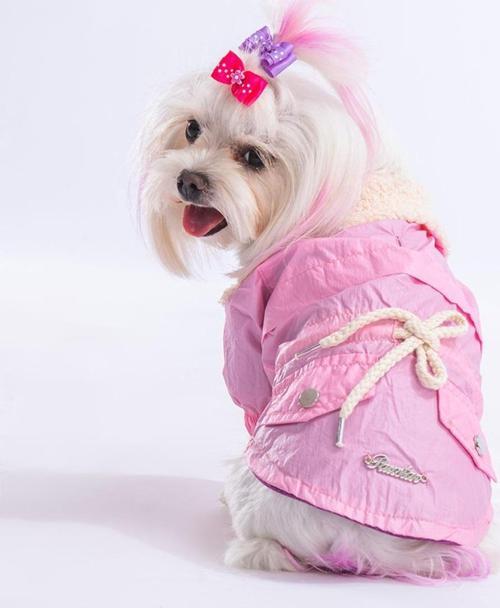 Pembe Brillante Köpek Montu Köpek Yağmurluk Köpek Kıyafeti Köpek Elbisesi - 2XL