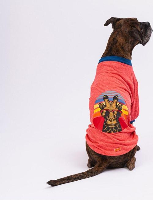 Nar Çiçeği Giraffe Büyük Köpek Sweati - Köpek Kıyafeti 4XL (15 KG-45 KG)