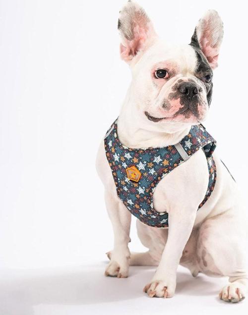 Stallae Air-mesh Göğüs Tasması Kedi Köpek Göğüs Tasması 3XSmall