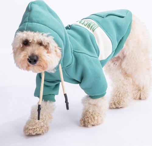 Yeşil Cute Köpek Hoodie Köpek Sweat Köpek Kıyafeti Kedi Kıyafeti -2XL