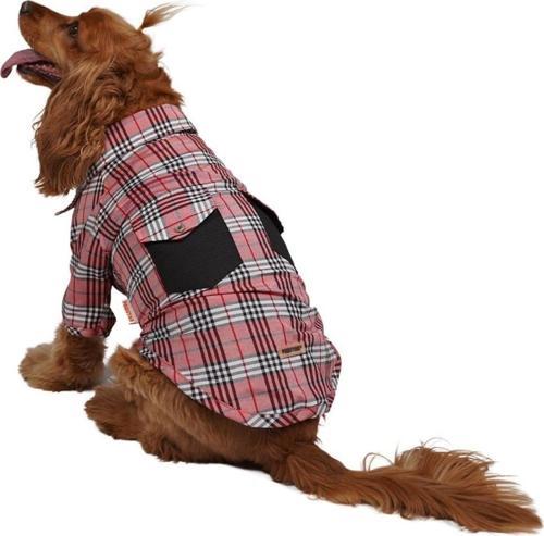Red Plaid Kırmızı Ekose Kedi Köpek Gömleği Kedi Köpek Kıyafeti - L