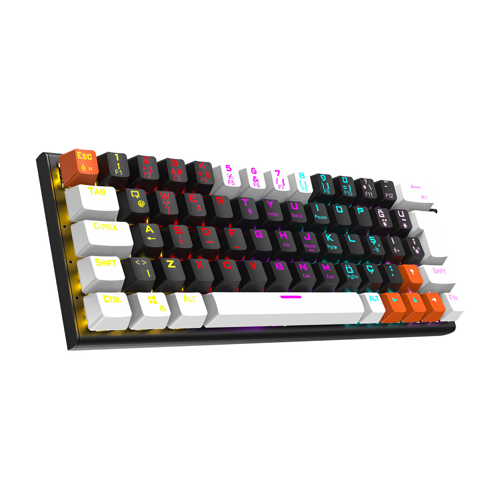 PARLEY Siyah/Beyaz Rainbow Aydınlatmalı Türkçe Q Blue Switch Mekanik Gaming Oyuncu Klavyesi