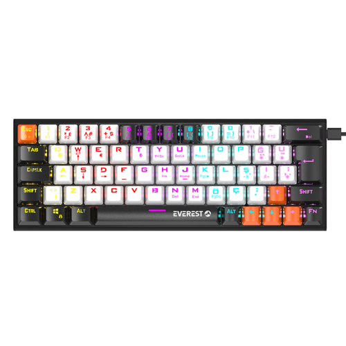 PARLEY Beyaz/Siyah Rainbow Aydınlatmalı Türkçe Q Blue Switch Mekanik Gaming Oyuncu Klavyesi