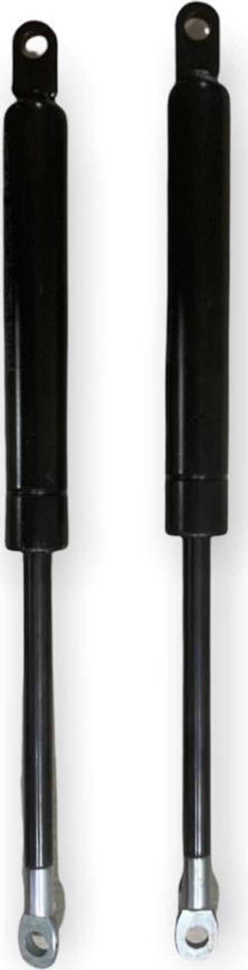 Baza Amortisörü 2 li Takım 1100N 31.5 cm Piston