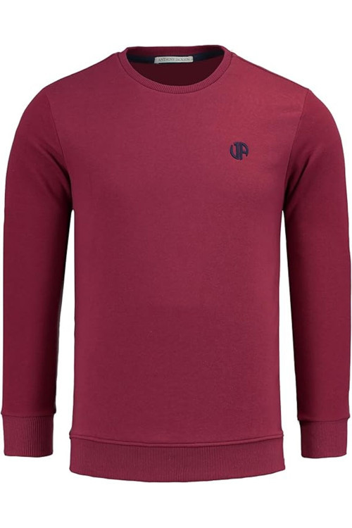 Erkek Basic Logo Sweatshirt Nova