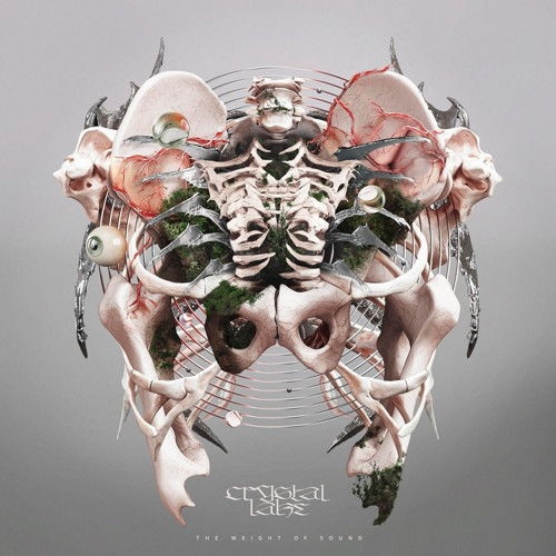 Crystal Lake The Weight Of Sound (Grey Vinyl) - Plak