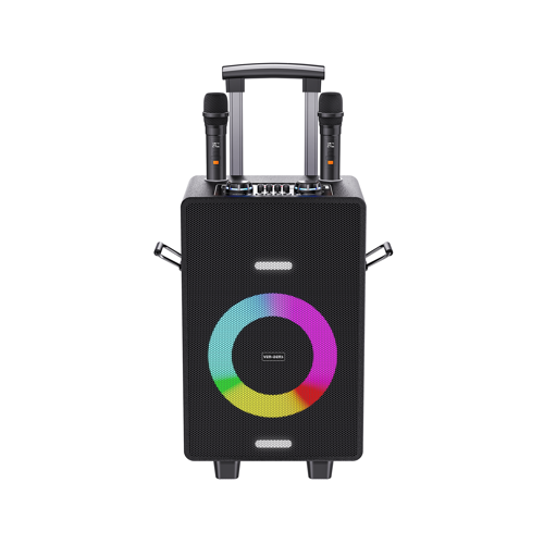 VD-SPK004 Premium 8 İnç Çift Mikrofonlu ve LED Işıklı Taşınabilir Bluetooth Parti Hoparlörü