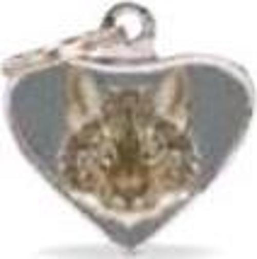 NW Kedi Künyesi İsimlikli PT127