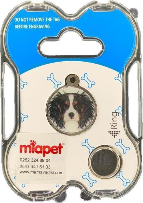 NW Köpek Künyesi İsimlikli pt112