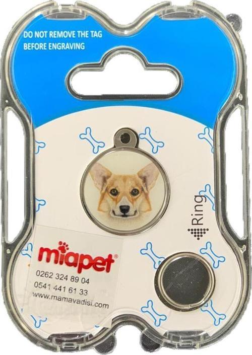 NW Köpek Künyesi İsimlikli pt113