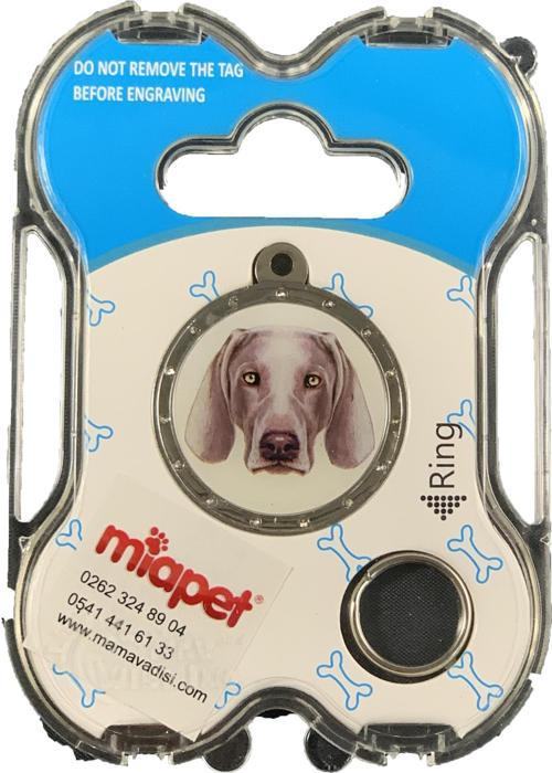 NW Köpek Künyesi İsimlikli pt131