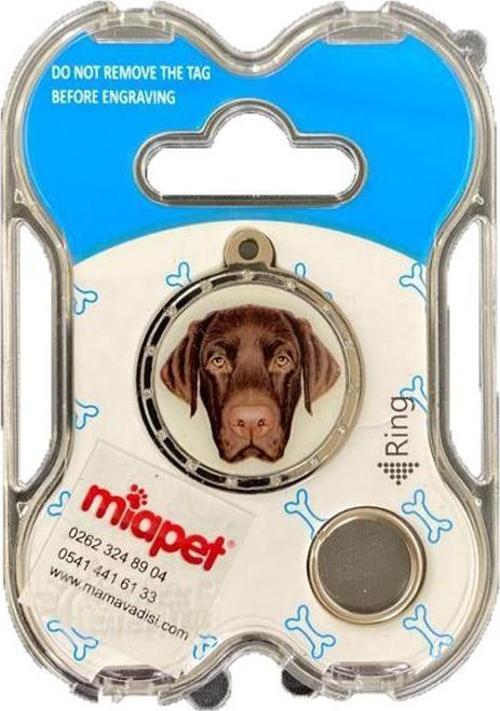 NW Köpek Künyesi İsimlikli pt133