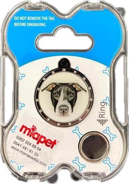 NW Köpek Künyesi İsimlikli pt138