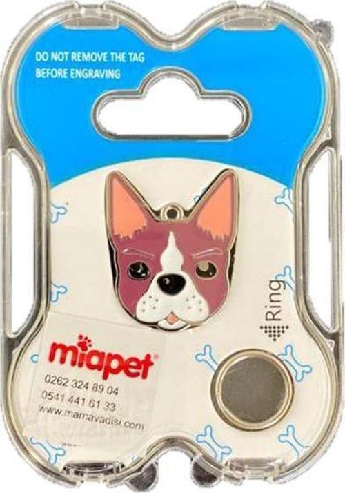 NW Köpek Künyesi İsimlikli pt154