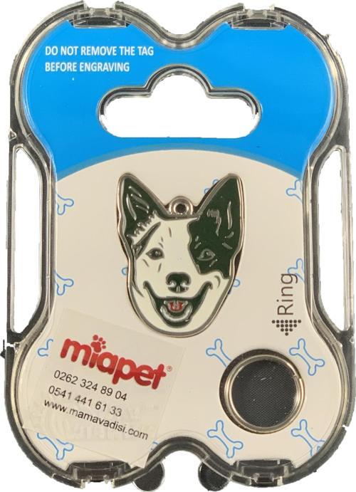 NW Köpek Künyesi İsimlikli pt158