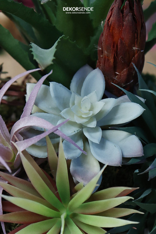 Yapay Mini Etli Echeveria Sukulent Açık Yeşil 12 cm