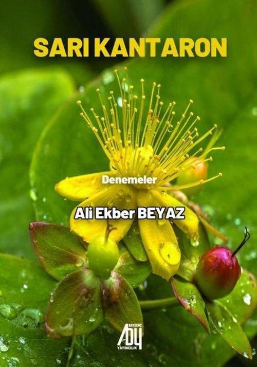 Sarı Kantaron - Denemeler