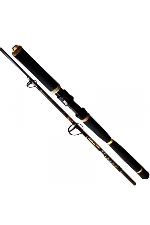 RYOBI SAFARI 2 PARÇALI 165 CM 40-80 LBS JIG KAMIŞI