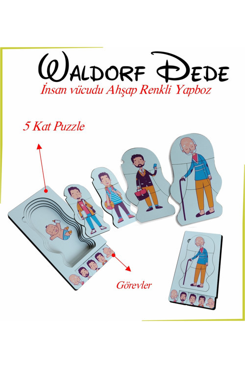 Waldorf Dede İnsan Vücudu Ahşap Renkli Yapboz Yaşam Döngüsü