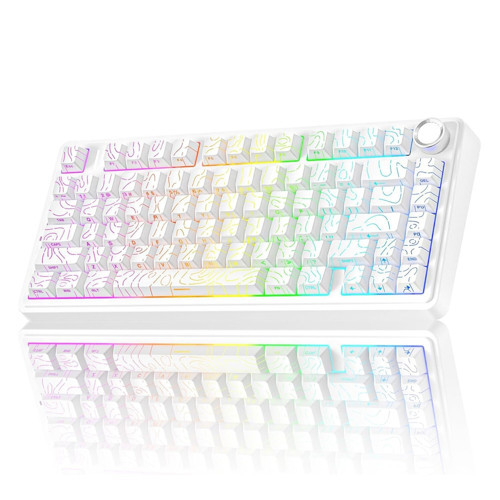 F75 Mekanik RGB TKL Seiya Switch Kablosuz Makrolu Hot Swap Gaming Klavye Desenli Beyaz