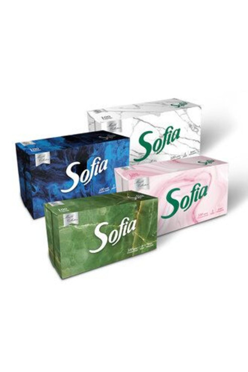 6 Adet Kutu Mendil 100'Lü