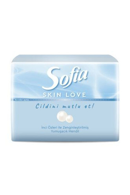 4 Adet Skin Love Mini Mendil 75'Li