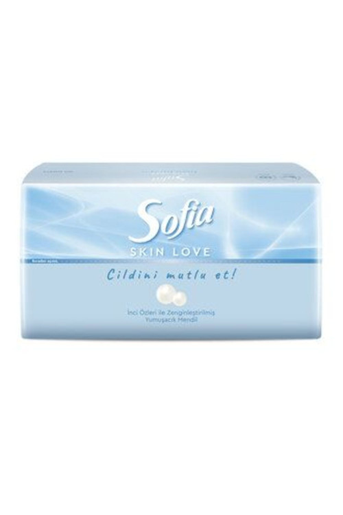 6 Adet Skin Love Mendil 100'Lü