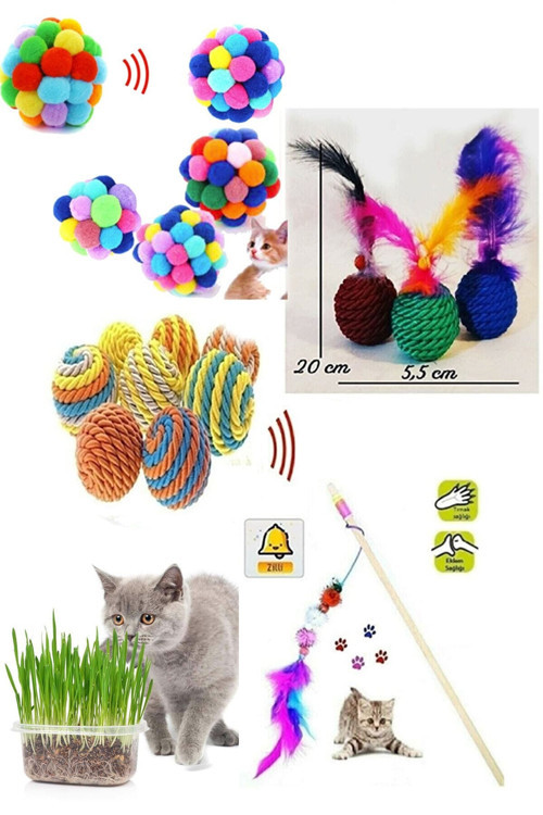 5 Li Kedi Oyuncağı Set: Kedi Oltası Kedi Çimi Pon Pon Top Sesli Tüylü Top