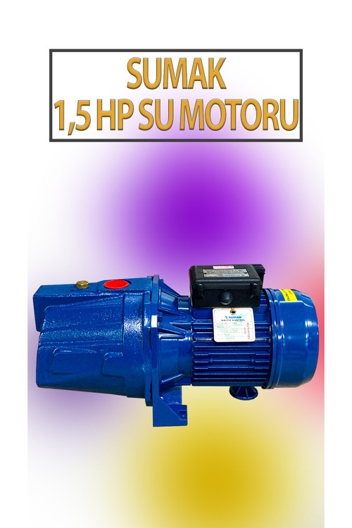 1,1 KW 1,5 HP 2820 D/D 5,8 A. Su Motoru 220 V/50 Hz Su Pompası Jet Pompası