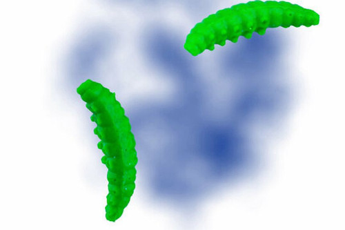 LARVA SİLİKON YEM 35MM 14LÜ PEYNİR AROMALI 36