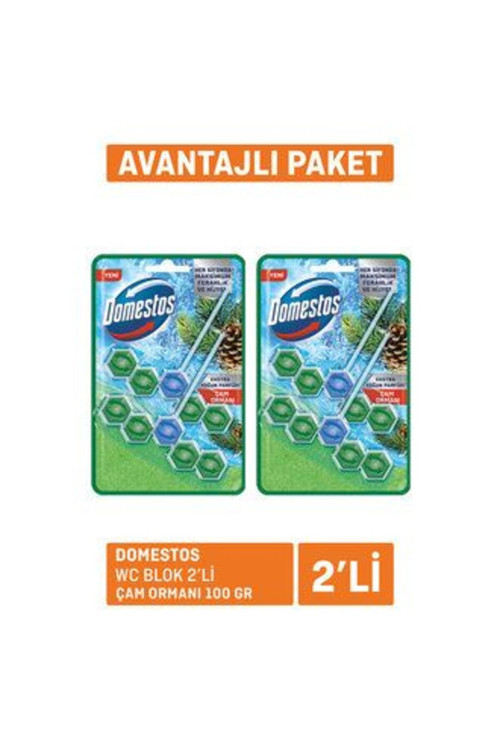 2 Adet Wc Blok 2'Li Çam Ferahlığı 2X100 G