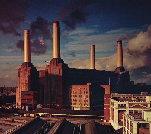 Pink Floyd Animals - Plak