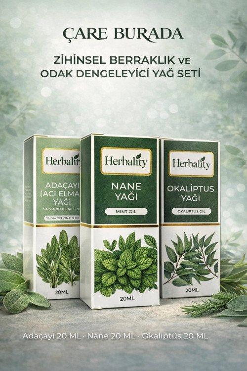 Zihinsel Berraklık Ve Odak Dengeleyici Yağ Seti (Adaçayı Yağı & Nane Yağı & Okaliptüs Yağı)