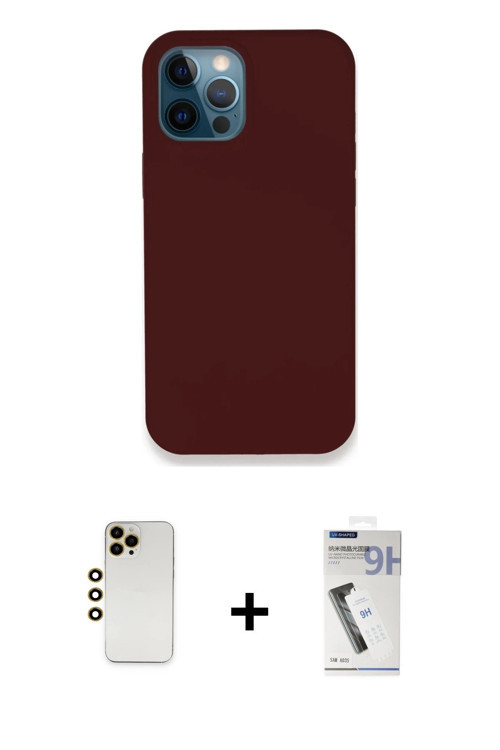 ieg™ iPhone 12 Pro Max Kılıf Zirve Modern Özel Seri - Şeffaf Uv Polymer Nano Ekran Koruyucu + Gold S