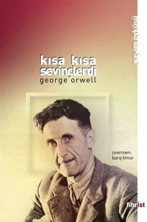 Kısa Kısa Sevinçlerdi - E-Kitap