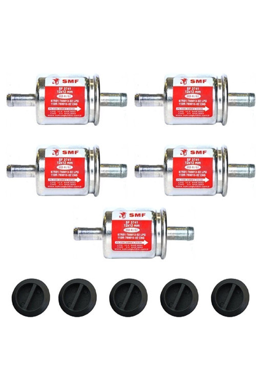 Lpg Filtresi 12x12 5 Adet