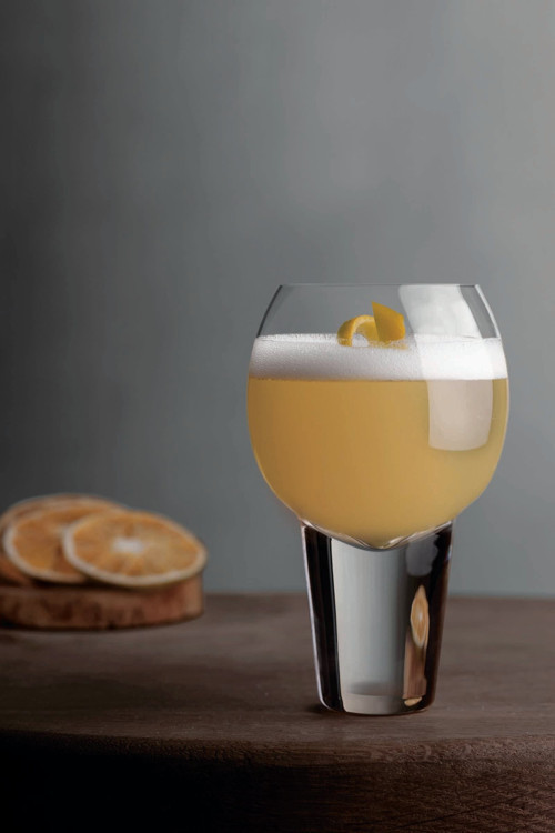 Nude Gravity Martini Kokteyl Bardağı 2'li 313 cc