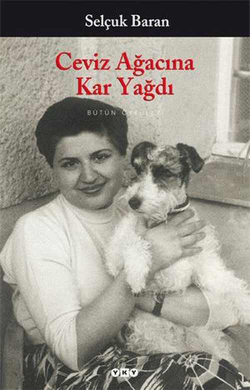 Ceviz Ağacına Kar Yağdı - E-Kitap