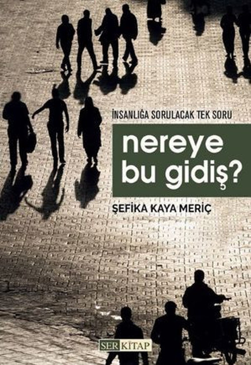 Nereye Bu Gidiş? - E-Kitap