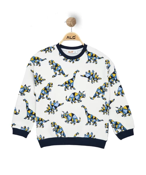 ERKEK ÇOCUK RENKLİ DINOSAUR BASKILI SWEATSHIRT