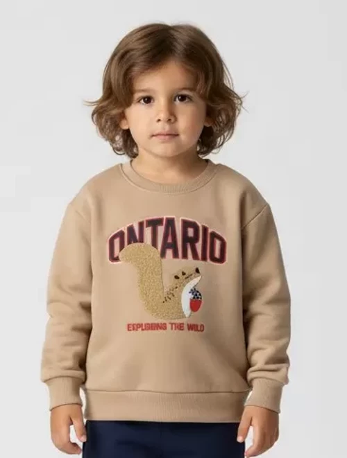 ERKEK ÇOCUK SWEATSHIRT - 3 İP ŞARDONLU NAKIŞ İŞLEMELİ (Bir Beden Büyük Önerilir)