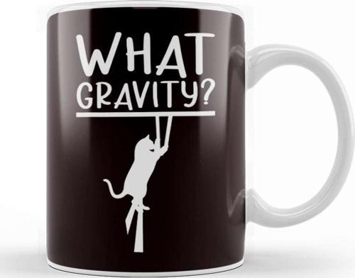 Gravity Aerial Silk Aerialist Circus Acrobat Dancer Sports Kupa Bardak Porselen