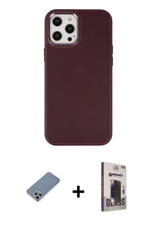 ieg™ iPhone 12 Pro Max Kılıf Çekirdek Çizgi - Siyah Bilvis Hayalet Cam Ekran Koruyucu + Gümüş Metal