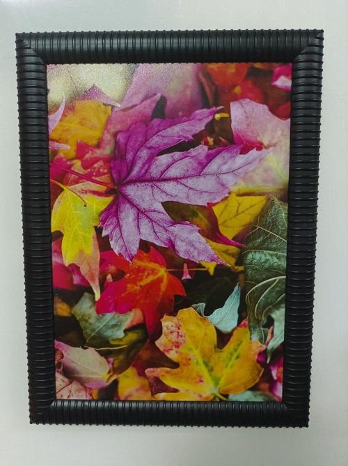 Şık Tasarımlı Siyah 5´Li A4 Çerçeve 21X30 Sertifika Diploma Belge Fotoğraf İçin Pvc Camlı