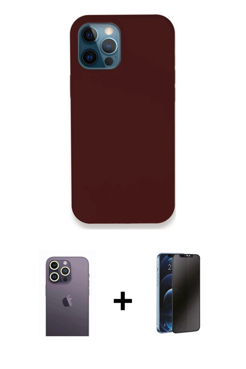 iPhone 12 Pro Max Kılıf Zirve Modern Özel Seri - Siyah 3D Antistatik Hayalet Cam Ekran Koruyucu